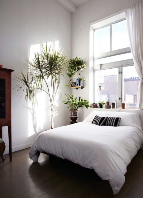 quarto de casal com teto alto e plantas na decoração