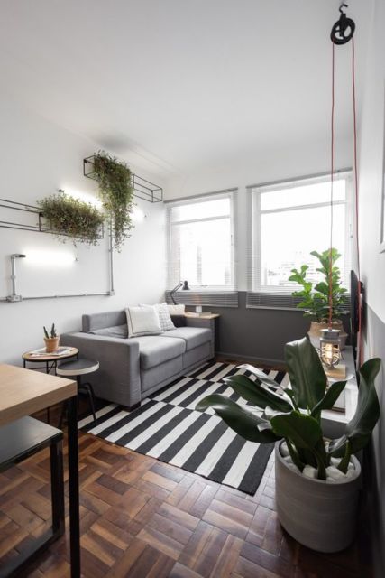 sala com tapete em listras pretas e brancas, piso de taco de madeira, vaso médio com planta, sofá cinza