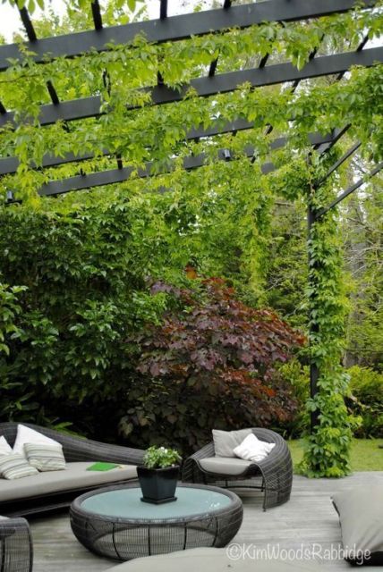 espaço com pergolado de ferro coberto por plantas com móveis de vime em um jardim 