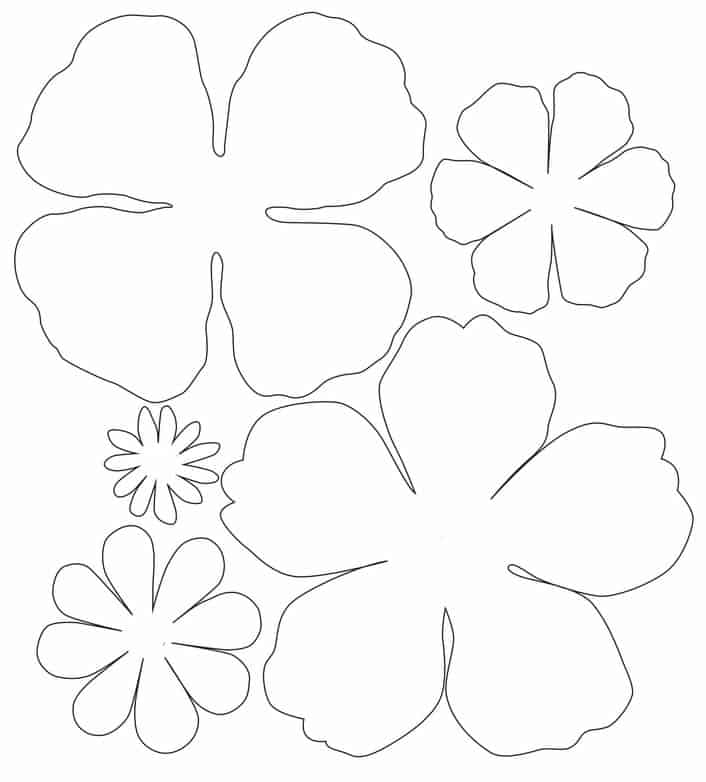 Moldes diversos de papel para flores