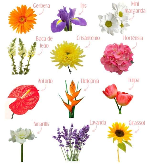 tipos de flores 55
