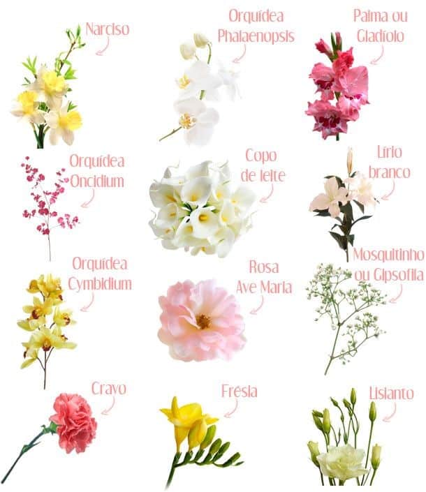 tipos de flores 56