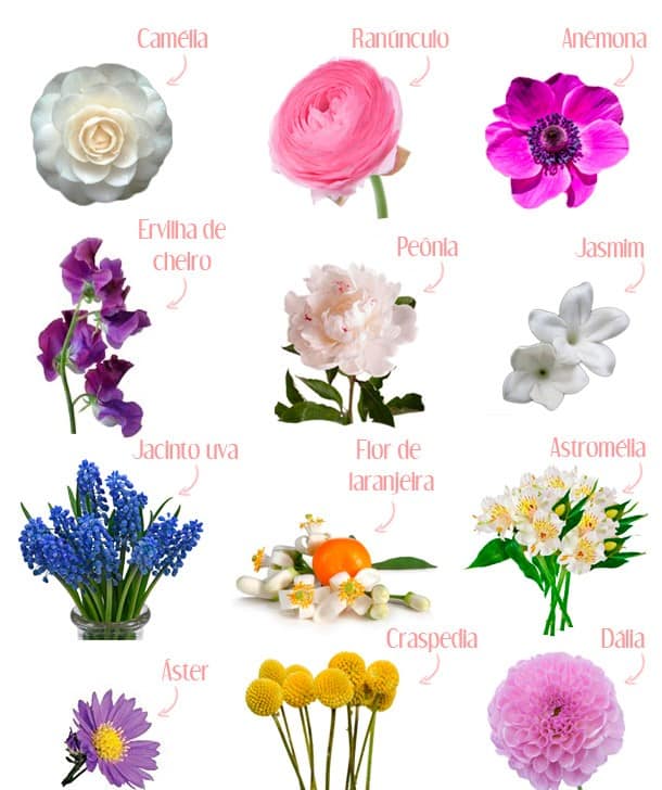 tipos de flores 57