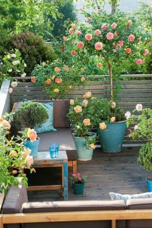 terraço com jardim 8