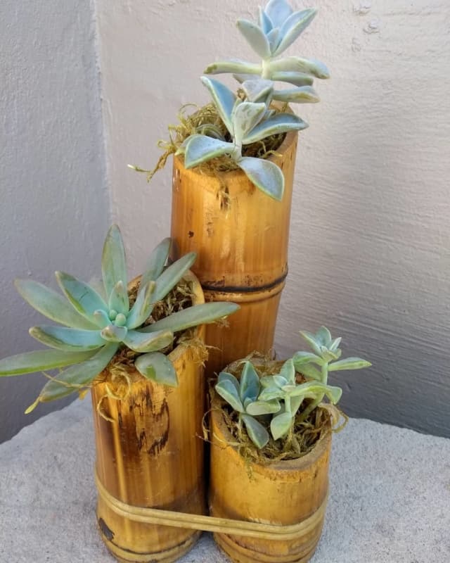 artesanato com bambu vaso de planta