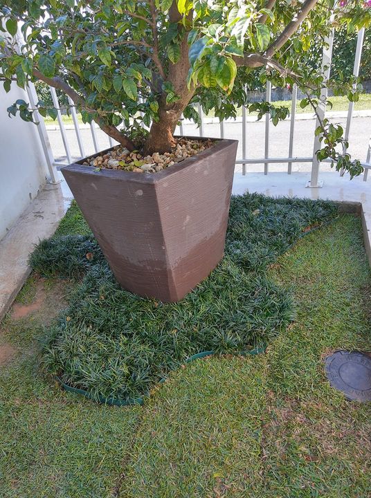 projeto de jardim simples com grama preta