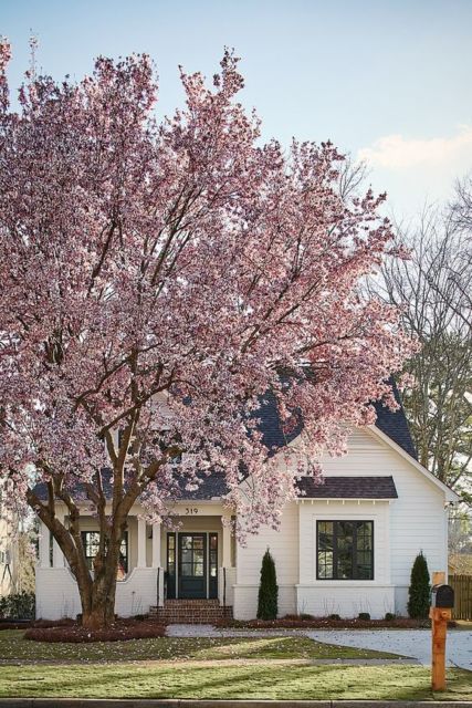 Casas de luxo na praia: Pequena com árvore rosa