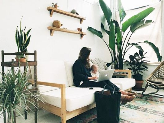 Casas decoradas: Com planta grande