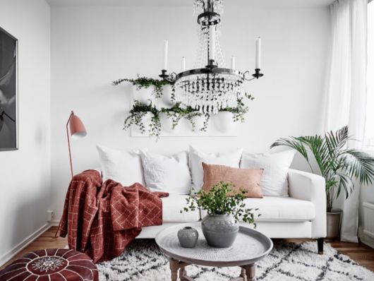 Casas decoradas: Com planta na mesa de centro