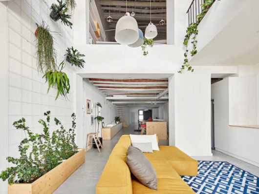 Casas decoradas: Com planta na parede