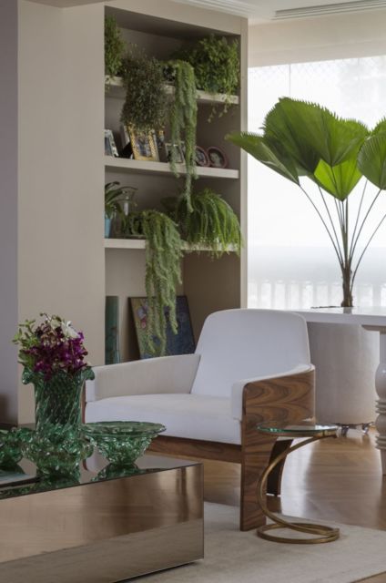 Casas decoradas: Com planta atrás do sofá
