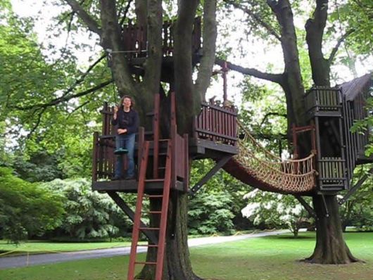 Casa na árvore: com tirolesa