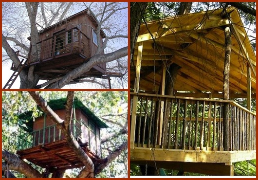 Casa na árvore: inspirações