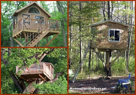 Casa na árvore: inspirações