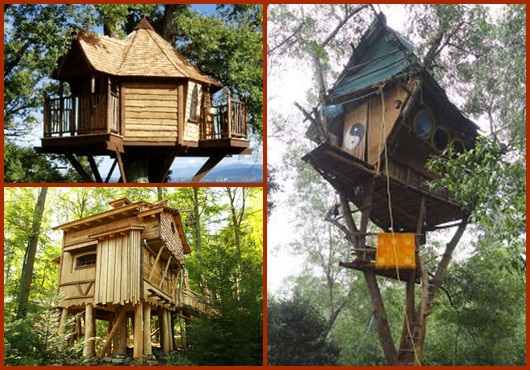 Casa na árvore: inspirações