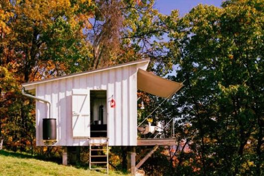 Casa na árvore: pequena