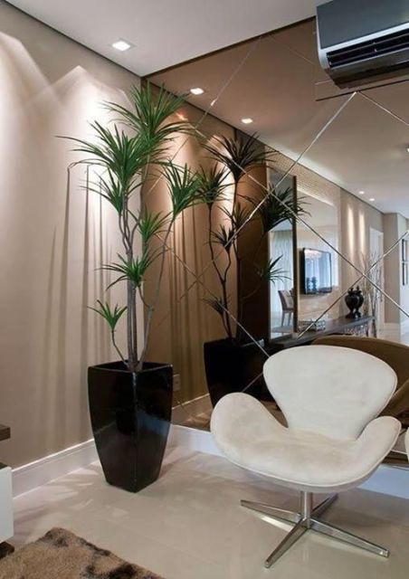 Decoração de sala pequena: Com espelho e planta