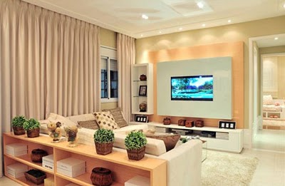 Decoração de sala pequena: Moderna com suculenta