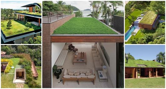 Modelos de telhados: Telhado verde