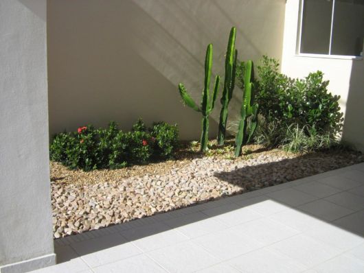 Pedras para jardim: Pedra de Rio com cacto