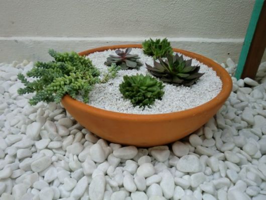  Pedras para jardim: Decoração com Dolomita