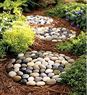 Pedras para jardim: Decoração com caminho