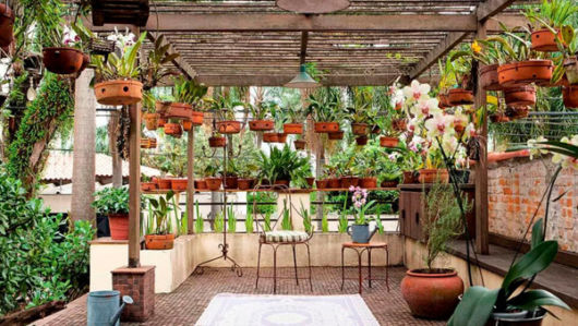 Pergolado: Com plantas