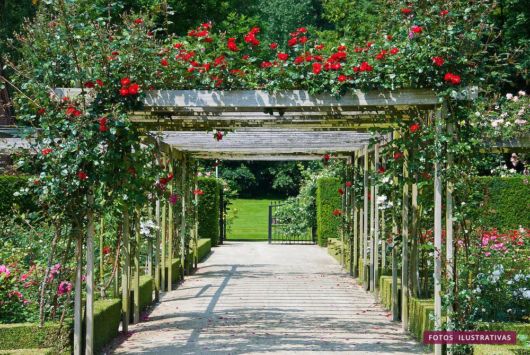 Pergolado: Com plantas