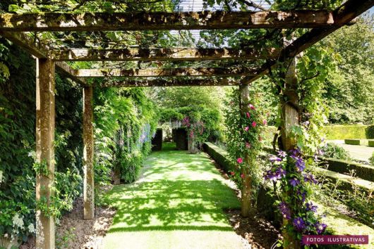 Pergolado: Com plantas