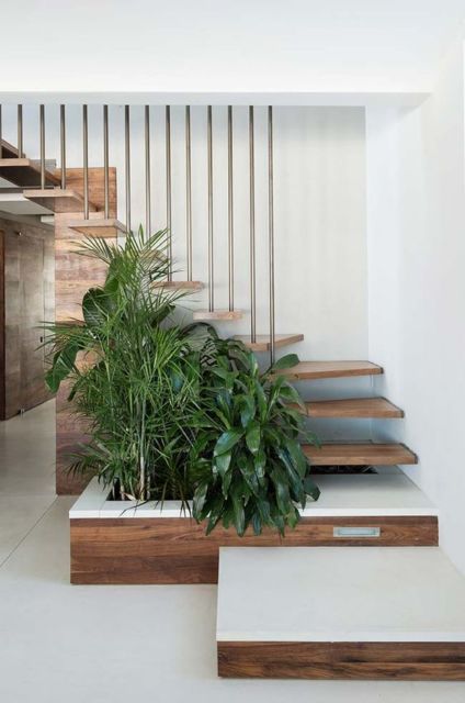 jardim pequeno interno