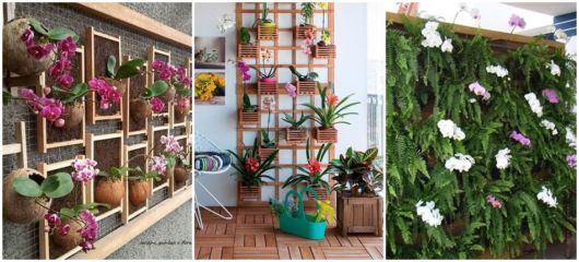 jardim vertical com orquídeas