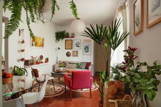 Plantas para sala: Naturais