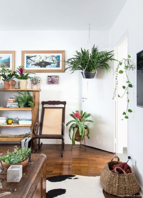 Plantas para sala: Naturais
