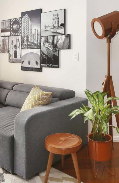 Plantas para sala: Ornamentais