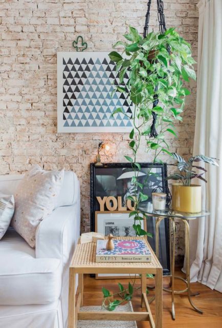 Plantas para sala: Ornamentais