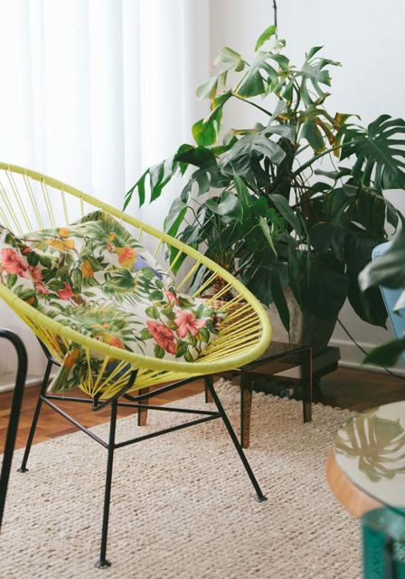 Plantas para sala: Ornamentais