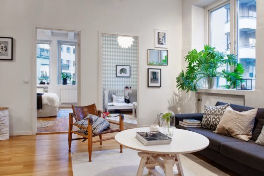 Plantas para sala: Decoração