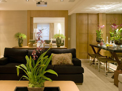 Plantas para sala: Decoração