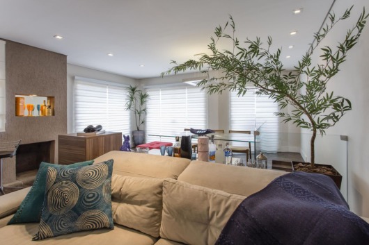 Plantas para sala: Decoração