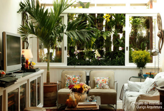 Plantas para sala: Decoração