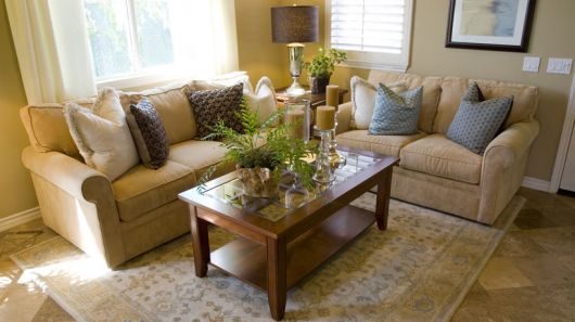 Plantas para sala: Decoração