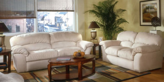 Plantas para sala: Decoração