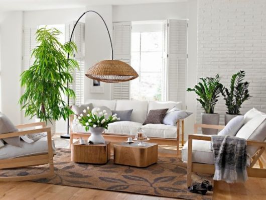 Plantas para sala: Decoração