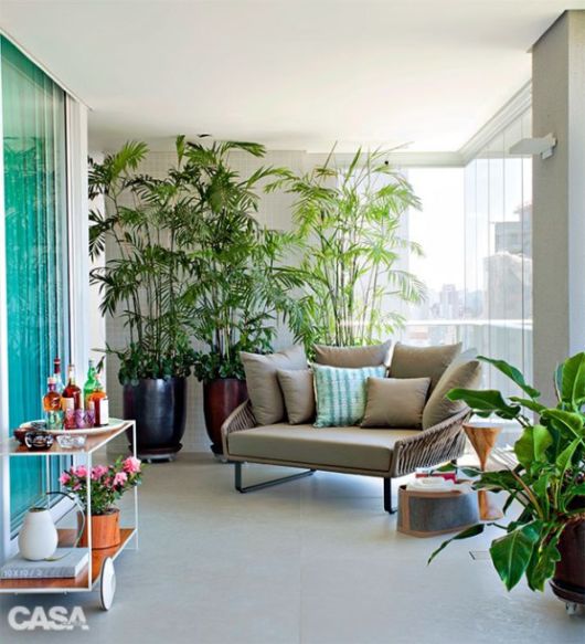 Plantas para sala: Decoração sala pequena de apartamento