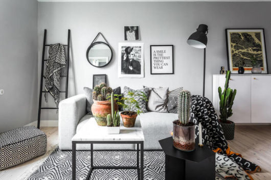 Plantas para sala: Decoração sala pequena de apartamento