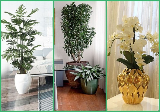 Plantas para Sala – Quais as melhores? 60 Decorações inspiradoras!