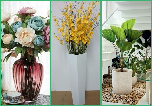 Plantas para sala: Modelos para se inspirar