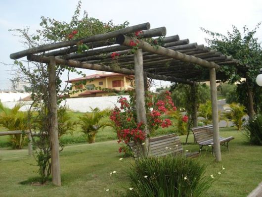 projeto para jardim