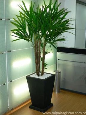 Plantas artificiais: grande