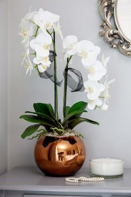 Plantas artificiais: pequena